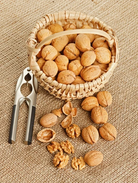 Walnut in basket and nut cracker — Stock Photo, Image