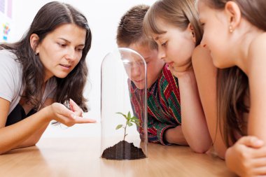 Students looking at plant inside greenhouse clipart