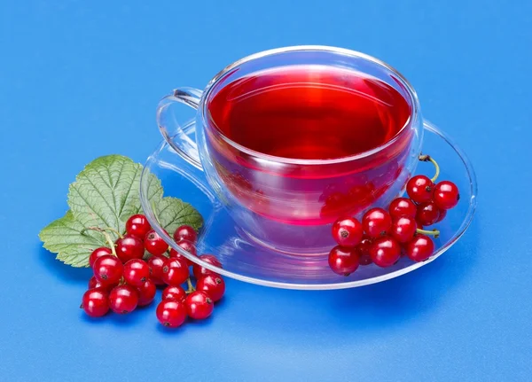 Red currant tea — Stock Photo, Image