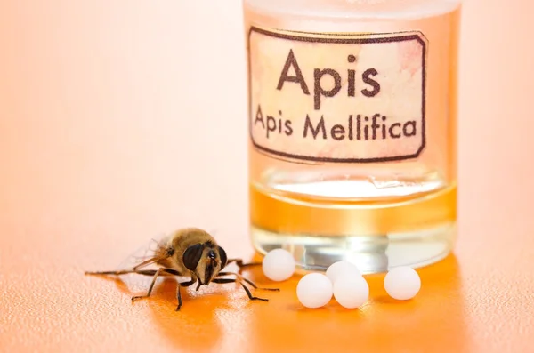 Apis Mellifica гомеопатические таблетки, яд и пчела — стоковое фото