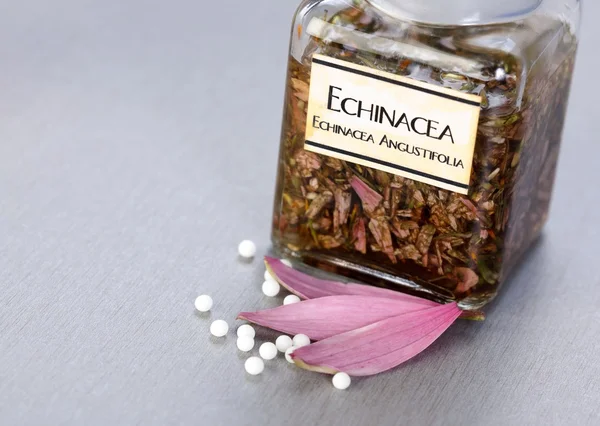 Экстракт растений Echinacea Officinalis — стоковое фото