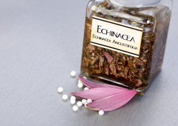 Echinacea Officinalis plant extract