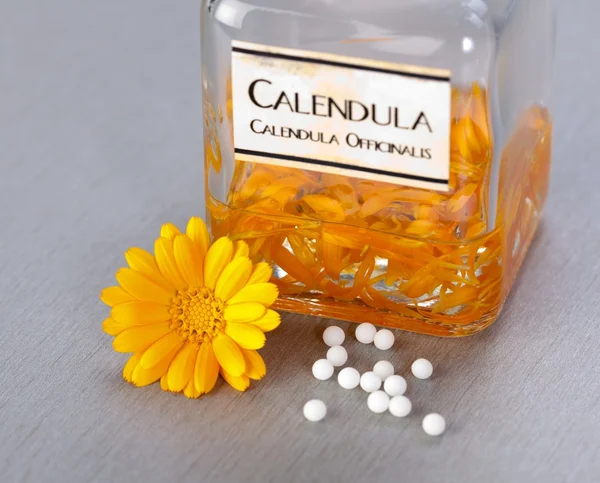 Calenudla 药用植物提取物 — 图库照片