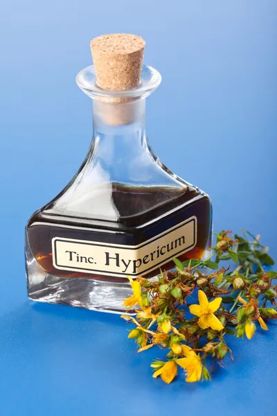 Hypericum bitki ve özü — Stok fotoğraf