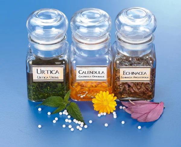 Vários extrato vegetal em garrafas e medicação homeopática — Fotografia de Stock