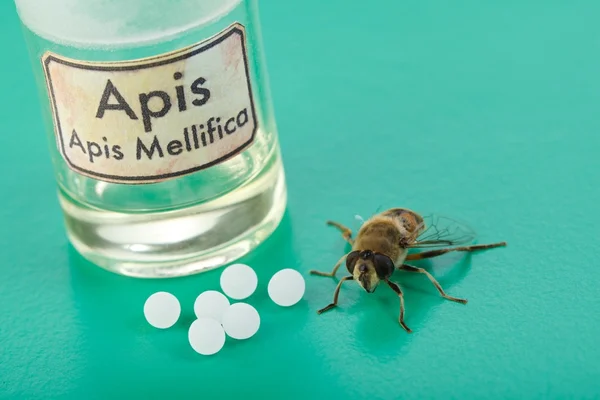 Apis mellifica homeopatické pilulky, jed a včela — Stock fotografie