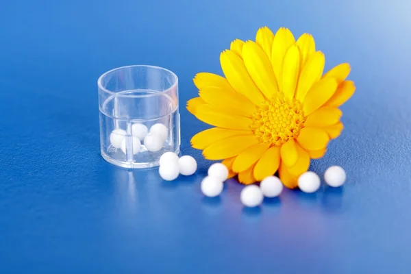 Calendula officinalis en homeopathische pillen — Stockfoto