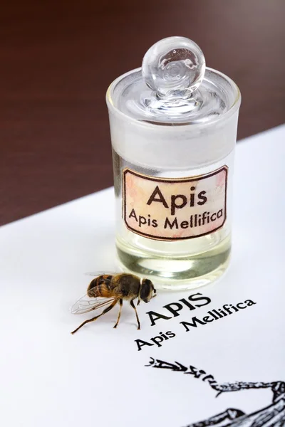 Hoja de Apis Mellifica, la abeja y el extracto venenoso —  Fotos de Stock