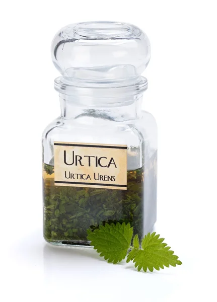Urtica Urens extrait de plante — Photo