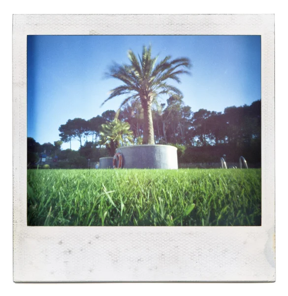 Instant film frame with saturated summer image — Stock Photo, Image