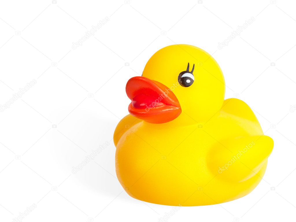 Cute yellow rubber duck isolated