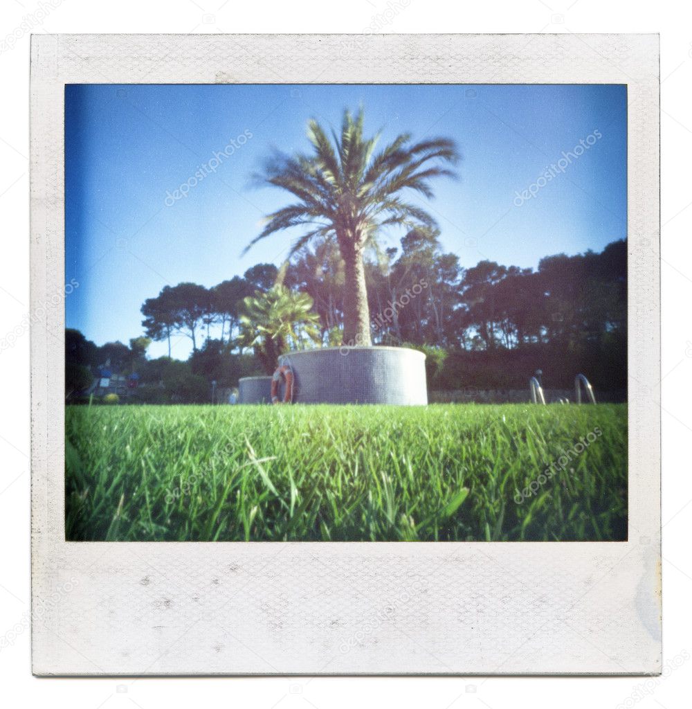 Instant film frame with saturated summer image