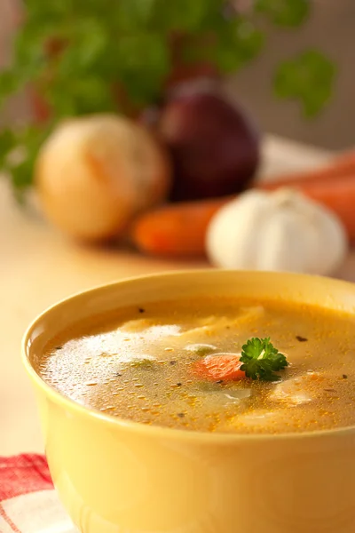 Zuppa di verdure con tagliatelle — Foto Stock