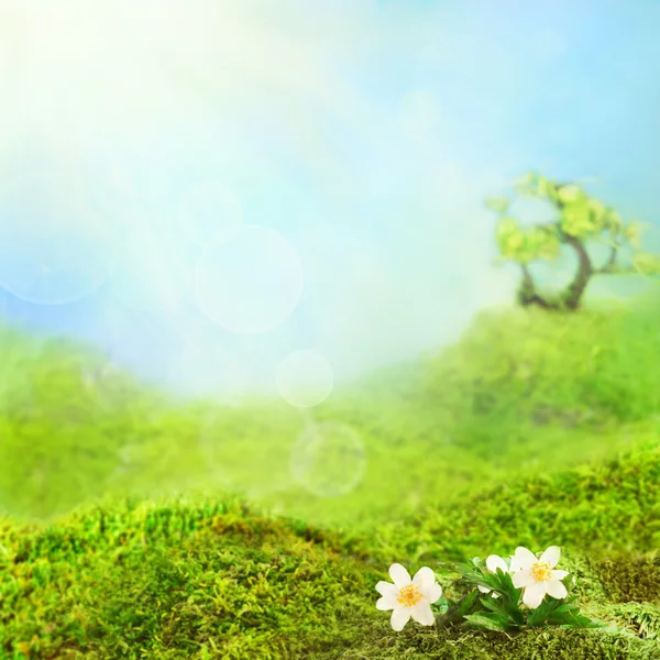 Tło wiosna z trawy i niebieski niebo — Zdjęcie stockowe