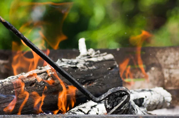 stock image Burning wood