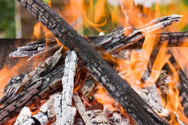 Burning logs clipart