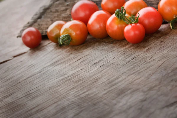체리 토마토 배경 — 스톡 사진