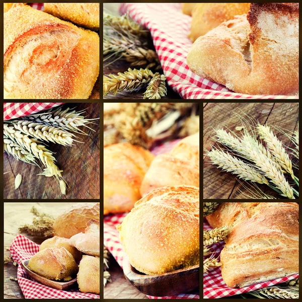 Zdravý chléb koláž — Stock fotografie