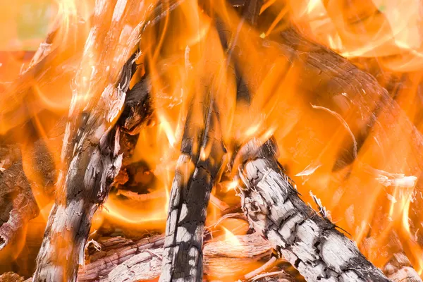 Burning logs — Zdjęcie stockowe