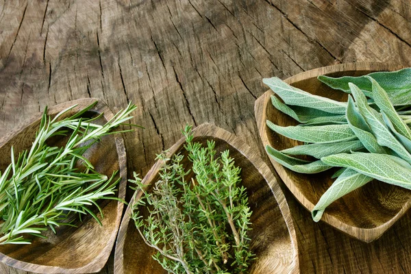 Fresh aromatic herbs — Stock Photo, Image