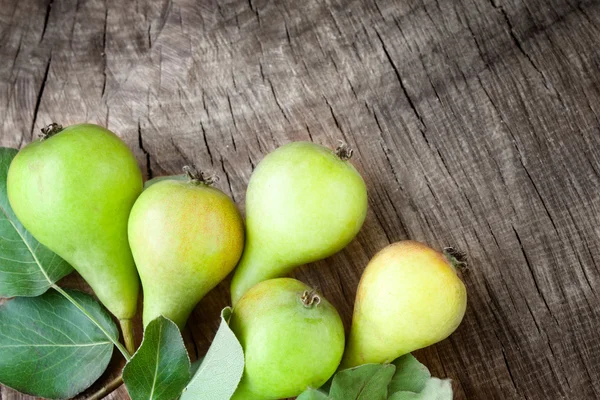 Nyskördade päron — Stockfoto