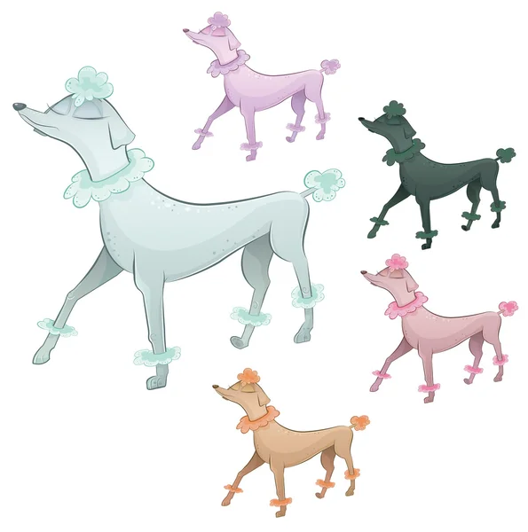 Vettore increspato barboncino cane personaggio dei cartoni animati . — Vettoriale Stock