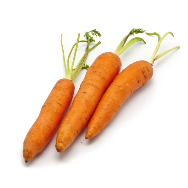 stock image Fresh Carrots on White Background