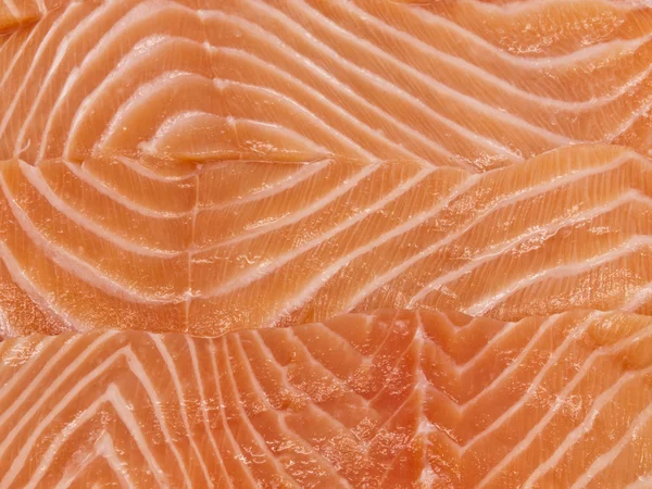 Stock image Salmon Background