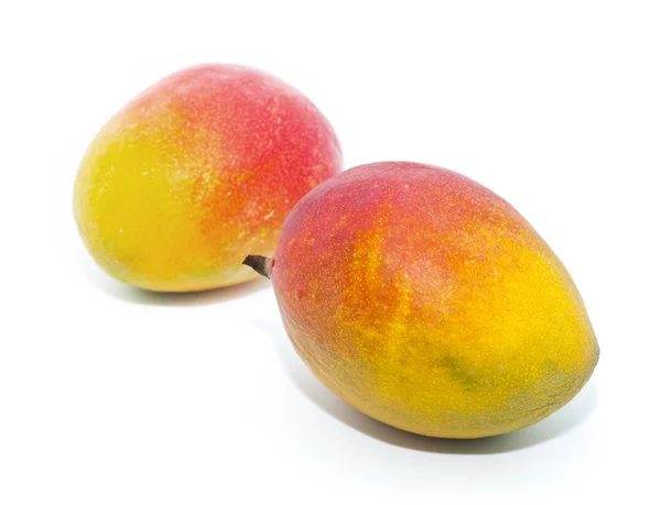 Vers mango 's — Stockfoto