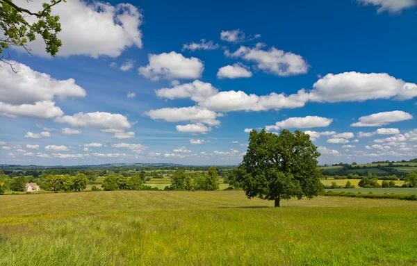 Veduta del paesaggio collinare di Cotswolds, Castleton, Regno Unito — Foto Stock