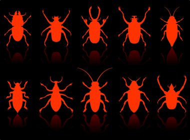 Insects Set clipart