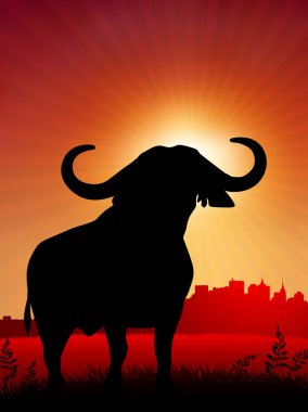 bull on sunset background with skyline clipart