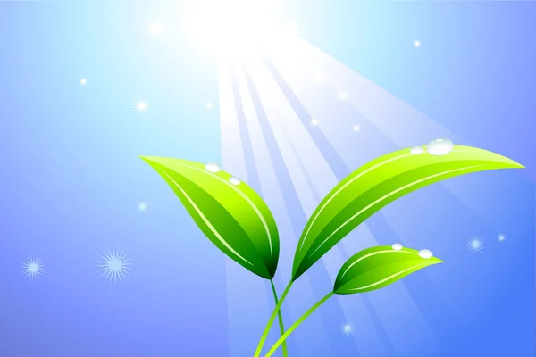 Sunbeam on a leaf background — Stock Vector