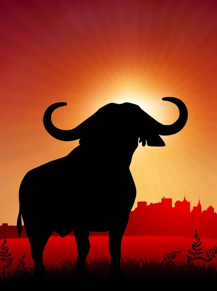 Bull na slunce pozadí s panorama — Stockový vektor