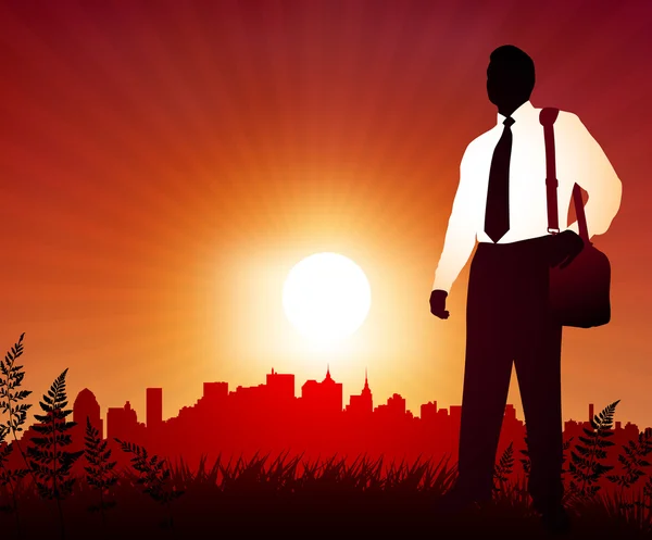 Ταξιδεύουν επιχειρηματίας με φόντο ηλιοβασίλεμα — Διανυσματικό Αρχείο