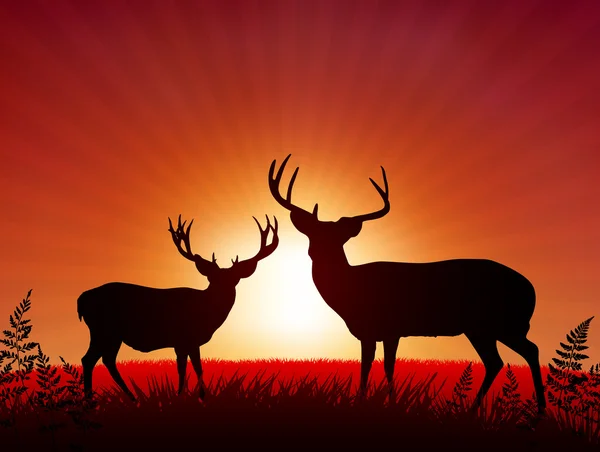Deer on Sunset Background — Stock Vector