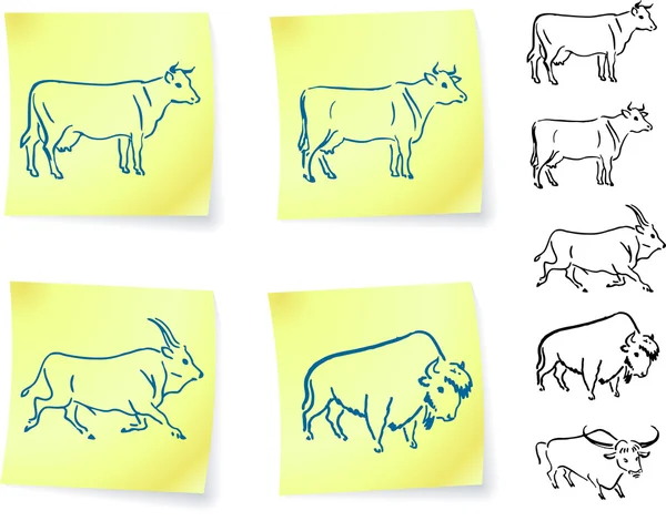 Inek buffalo ve bizon üzerinde notlar sonrası Vektör Grafikler