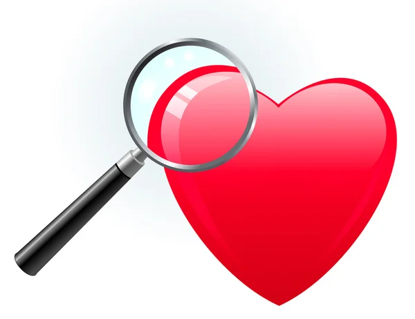 Heart under magnifying glass — Stock Vector
