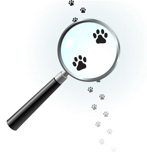 stock vector Paw footprints under magnifying glass