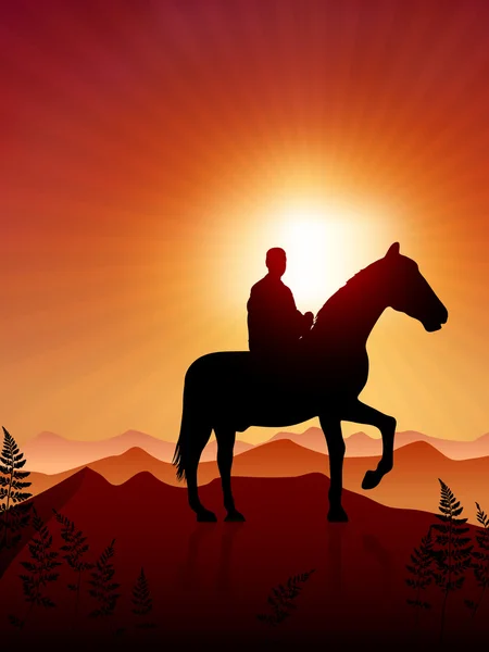 Horse and rider on sunset background — Stock Vector