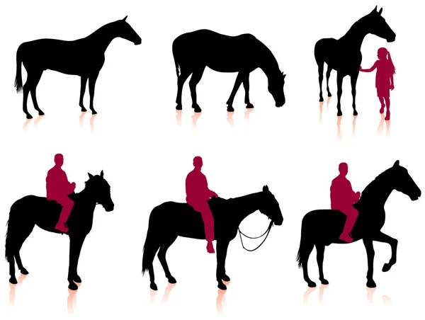 Силуэт лошадей и жокеев — стоковый вектор