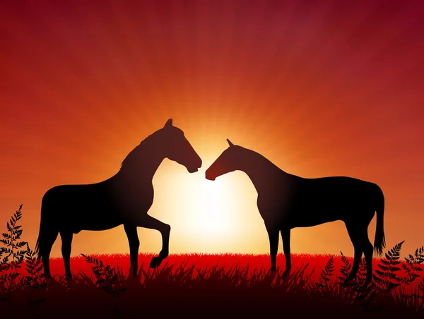 Paarden op zonsondergang achtergrond — Stockvector