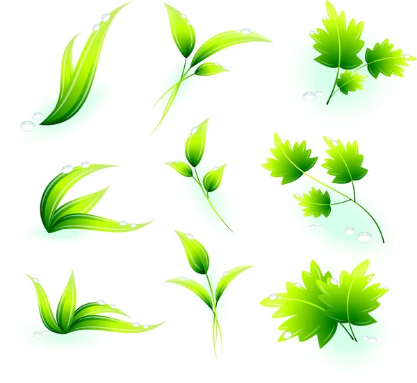 Folhas verdes — Vetor de Stock