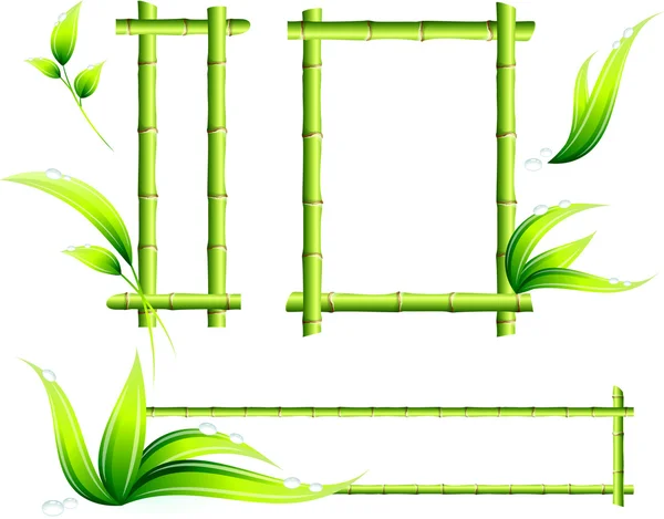 Marcos de bambú — Vector de stock