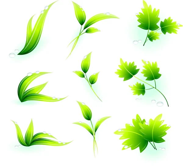 Зелене листя — стоковий вектор