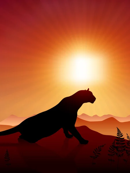 Lion on Sunset Background — Stock Vector