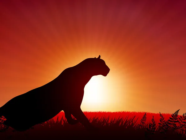 Gün batımı zemin üzerine aslan — Stok Vektör