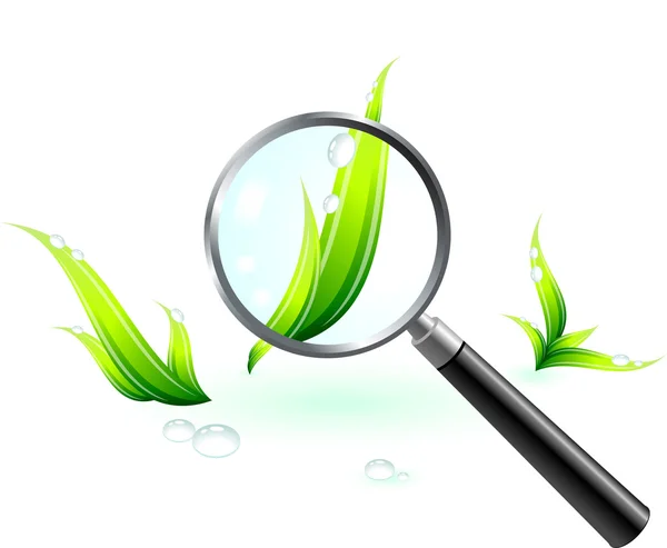 Grass under the magnifying glass — Stock Vector