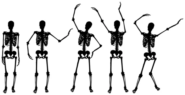 Skeleton silhouette movements on white background — Stock Vector