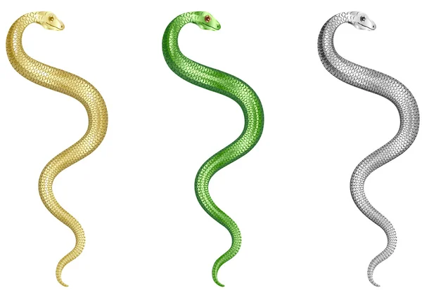 Zestaw węży — Wektor stockowy